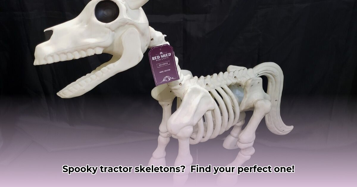 skeleton-tractor-supply